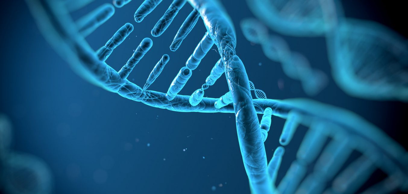 Researchers create first stem cells using CRISPR genome activation