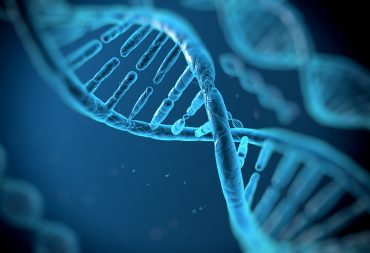 Researchers create first stem cells using CRISPR genome activation