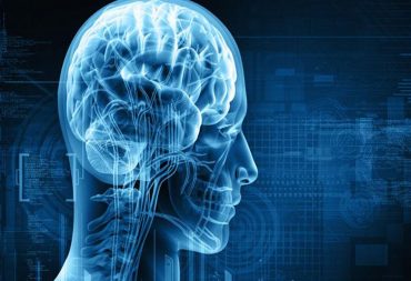 Scientists Have Identified The Physical Source of Anxiety in The Brain